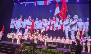 program (2)